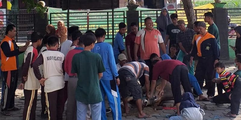 Kegiatan Idul Adha 2019
